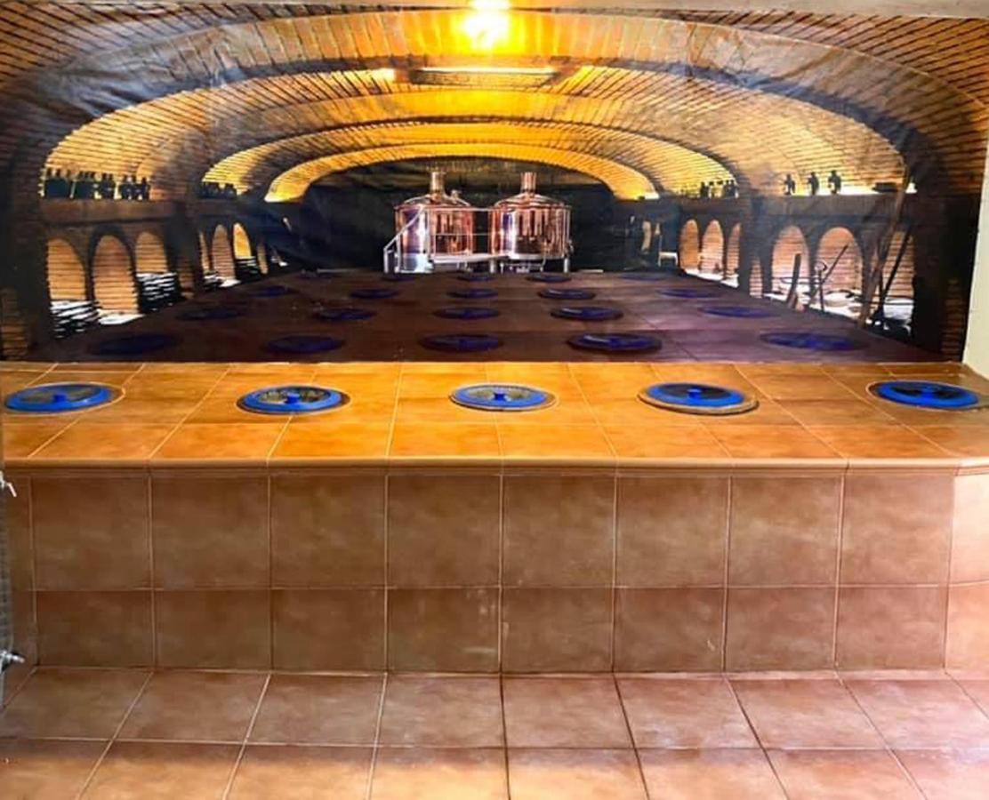 Brewery House&Beer Spa Aspindza Εξωτερικό φωτογραφία